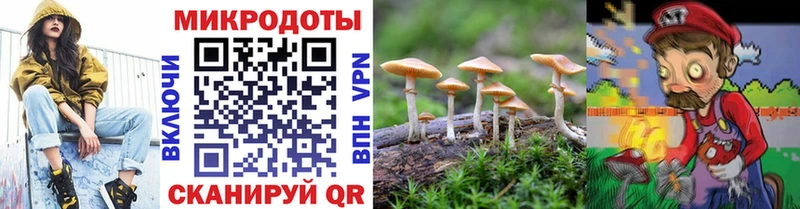 Псилоцибиновые грибы Cubensis Хвалынск