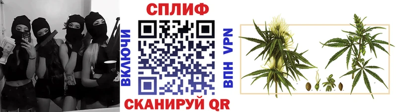 Конопля Ganja  omg маркетплейс  Хвалынск 