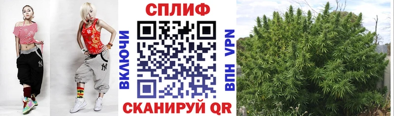 Канабис SATIVA & INDICA Хвалынск